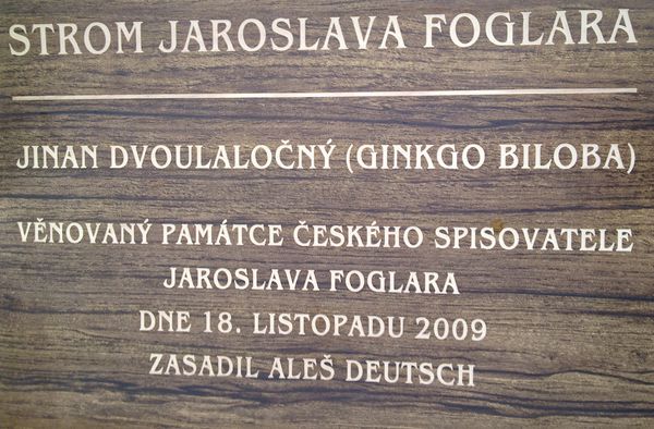 Obrázek ke článku 10. výročí zasazení stromu Jaroslava Foglara