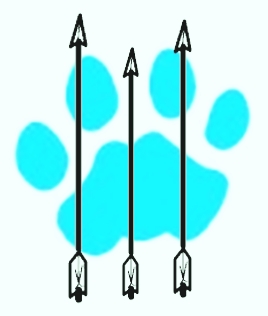 Logo klubu 53. BT Společenstvo Kočičích šípů